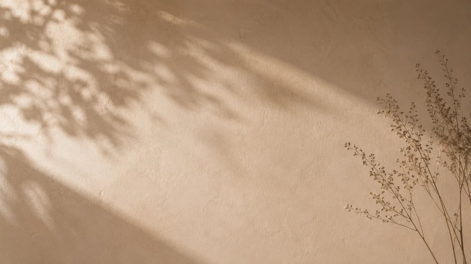 Botanical shadows across the warm plaster palette of Ruma Kamyna in Megamendung, Puncak Bogor
